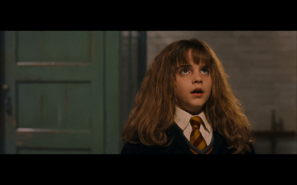 Harry Potter and the Sorcerer's Stone - 412