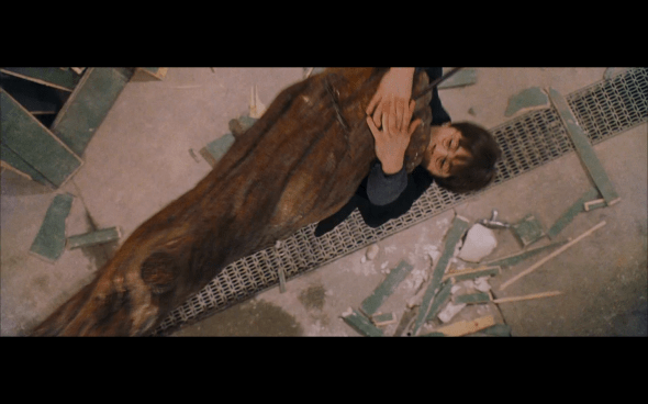 Harry Potter and the Sorcerer's Stone - 417