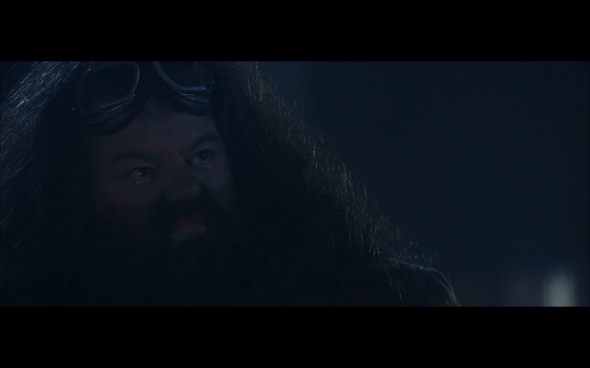 Harry Potter and the Sorcerer's Stone - 43