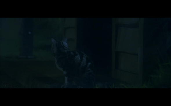 Harry Potter and the Sorcerer's Stone - 5