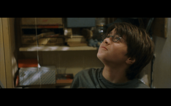 Harry Potter and the Sorcerer's Stone - 57