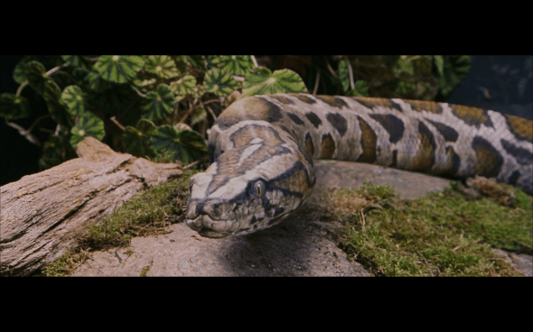 Harry Potter and the Sorcerer's Stone - 71