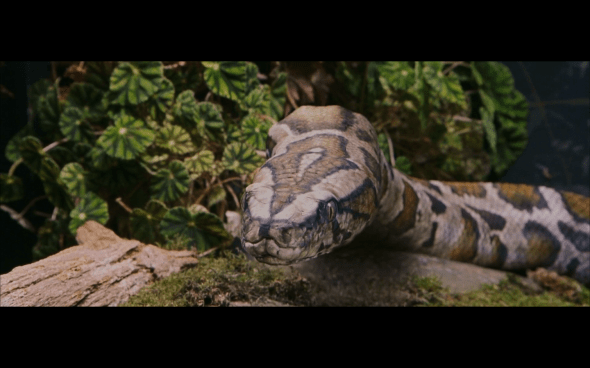 Harry Potter and the Sorcerer's Stone - 73