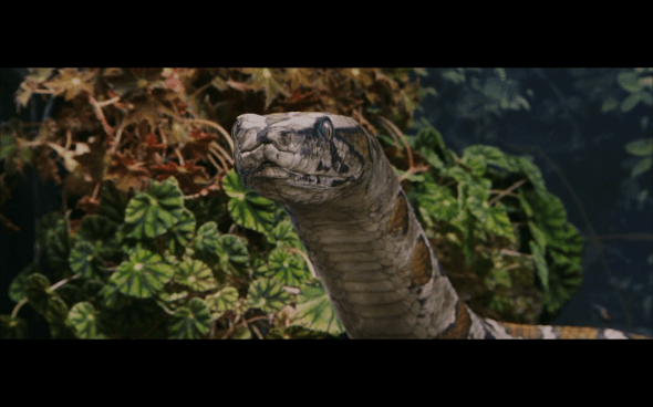 Harry Potter and the Sorcerer's Stone - 75