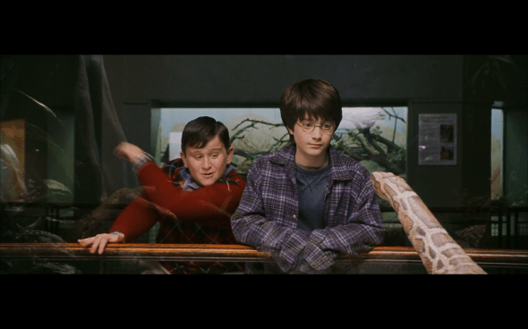 Harry Potter and the Sorcerer's Stone - 77
