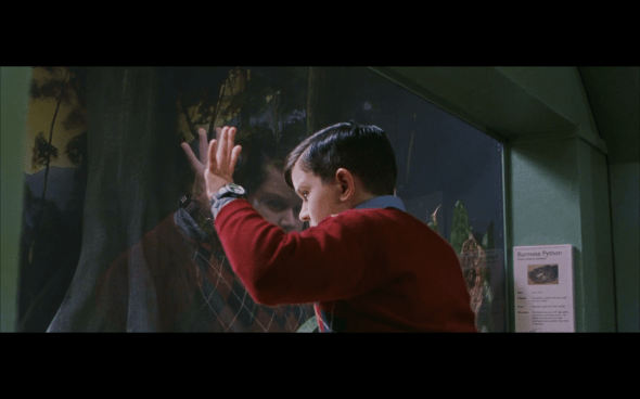 Harry Potter and the Sorcerer's Stone - 81