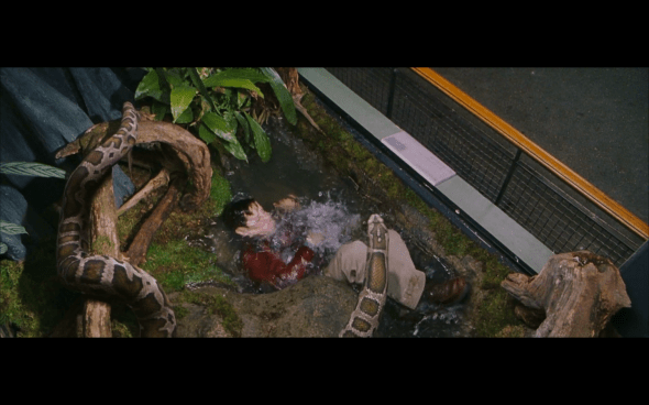 Harry Potter and the Sorcerer's Stone - 84