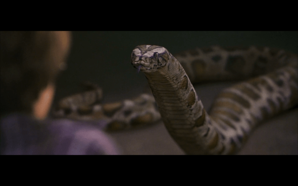 Harry Potter and the Sorcerer's Stone - 87