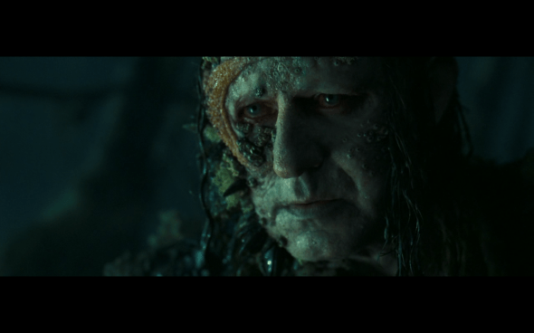 Pirates of the Caribbean Dead Man's Chest - 1334