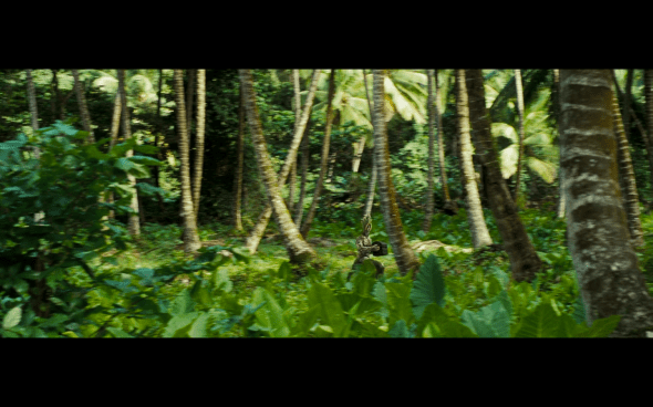 Pirates of the Caribbean Dead Man's Chest - 1904