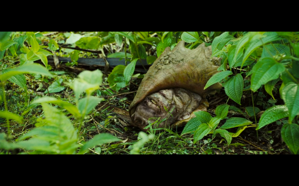 Pirates of the Caribbean Dead Man's Chest - 1915