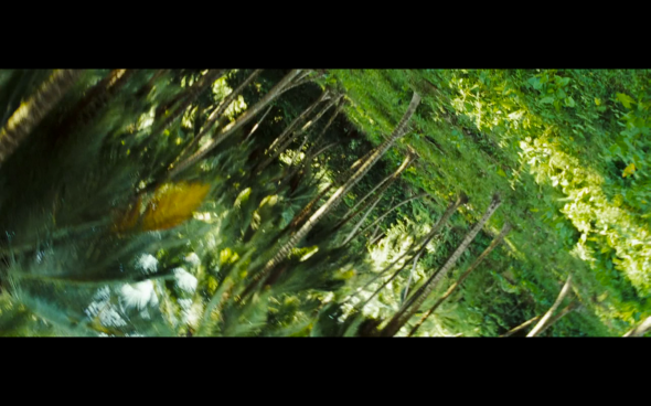 Pirates of the Caribbean Dead Man's Chest - 1960