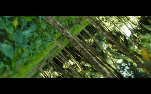 Pirates of the Caribbean Dead Man's Chest - 1961