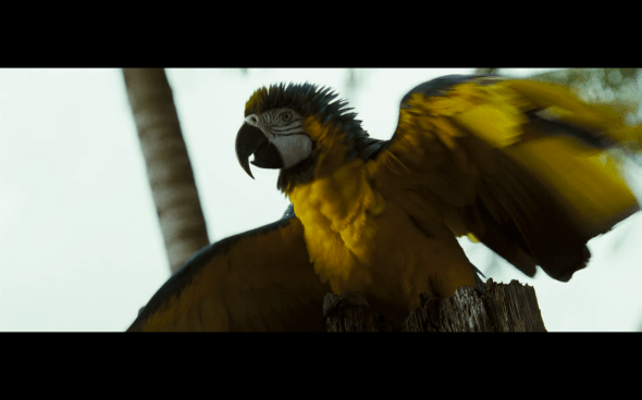 Pirates of the Caribbean Dead Man's Chest - 271