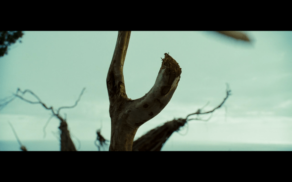 Pirates of the Caribbean Dead Man's Chest - 519