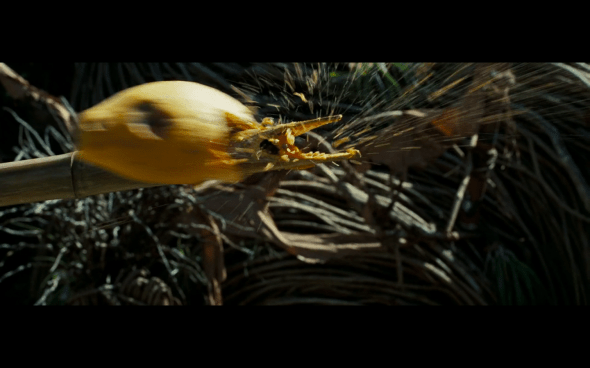 Pirates of the Caribbean Dead Man's Chest - 578