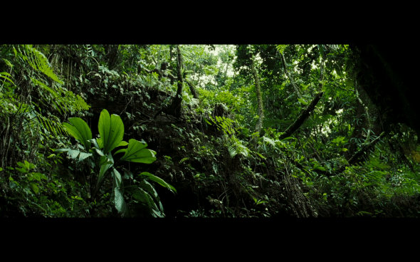 Pirates of the Caribbean Dead Man's Chest - 586