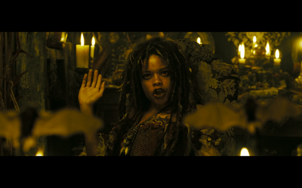 Pirates of the Caribbean Dead Man's Chest - 797