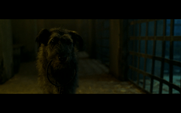 Pirates of the Caribbean The Curse of the Black Pearl - 784