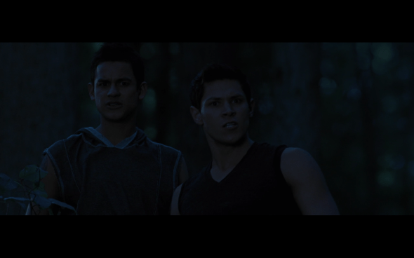 The Twilight Saga Breaking Dawn Part 1 - 1001