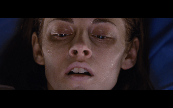 The Twilight Saga Breaking Dawn Part 1 - 1037