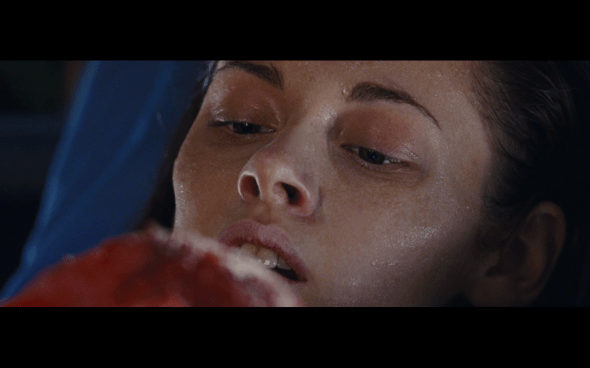 The Twilight Saga Breaking Dawn Part 1 - 1066