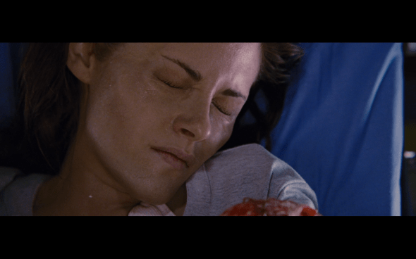 The Twilight Saga Breaking Dawn Part 1 - 1069