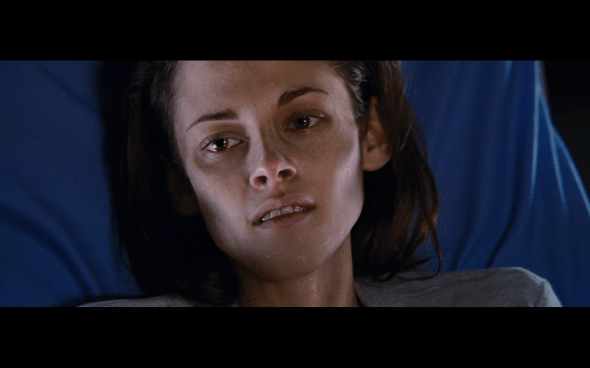 The Twilight Saga Breaking Dawn Part 1 - 1072