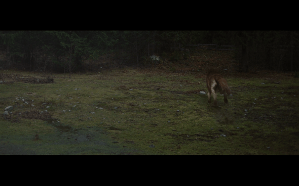 The Twilight Saga Breaking Dawn Part 1 - 11