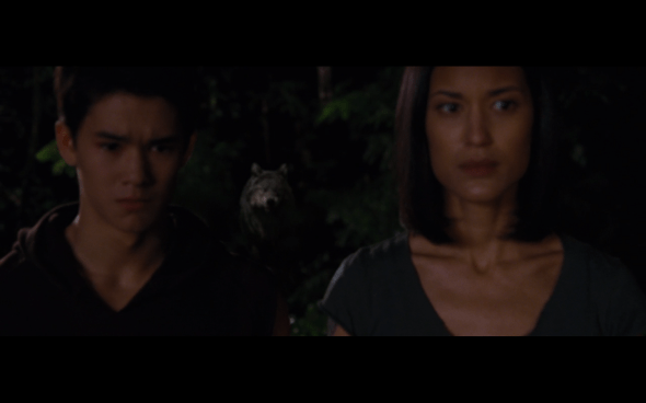 The Twilight Saga Breaking Dawn Part 1 - 1100