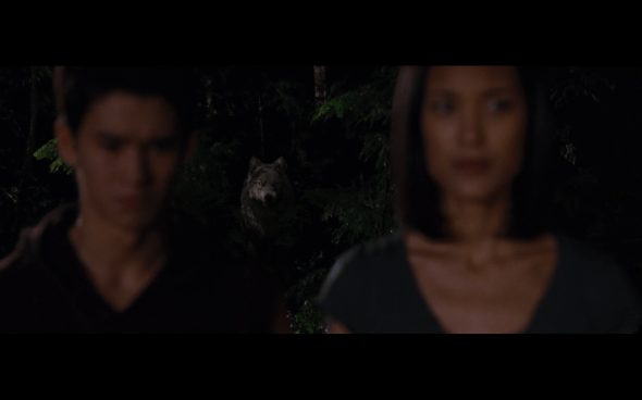 The Twilight Saga Breaking Dawn Part 1 - 1101