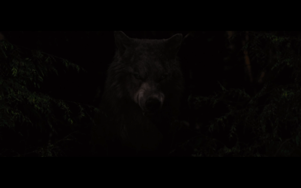The Twilight Saga Breaking Dawn Part 1 - 1103