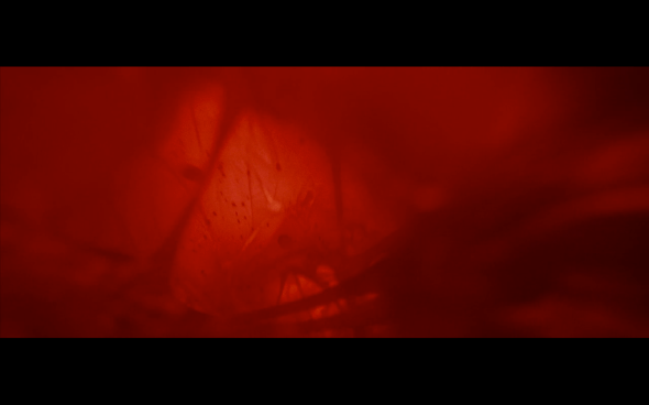 The Twilight Saga Breaking Dawn Part 1 - 1118