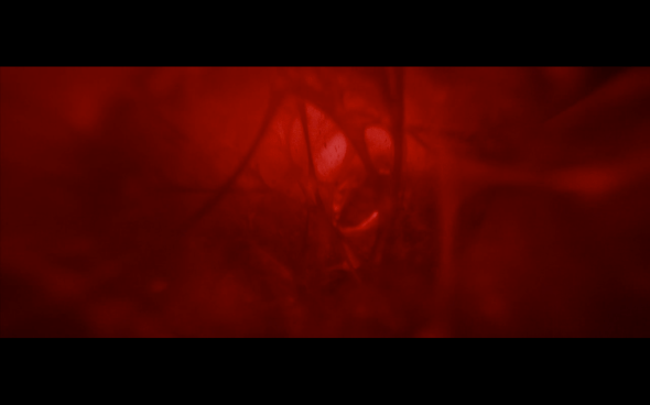 The Twilight Saga Breaking Dawn Part 1 - 1119