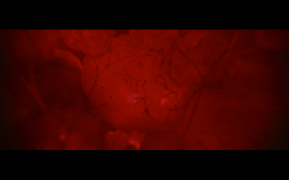 The Twilight Saga Breaking Dawn Part 1 - 1121