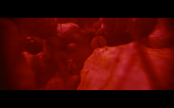 The Twilight Saga Breaking Dawn Part 1 - 1122