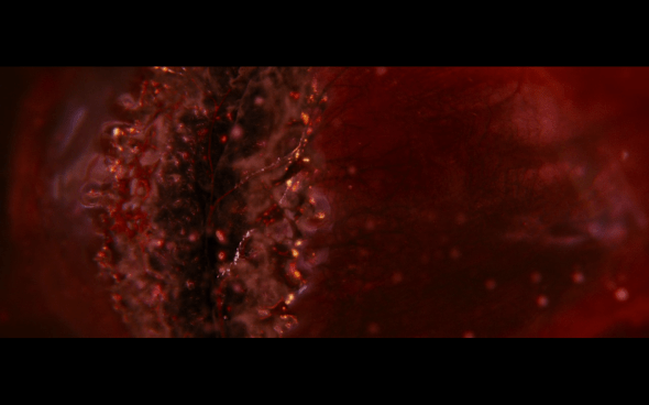 The Twilight Saga Breaking Dawn Part 1 - 1135