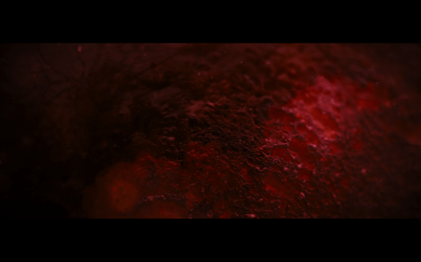 The Twilight Saga Breaking Dawn Part 1 - 1136