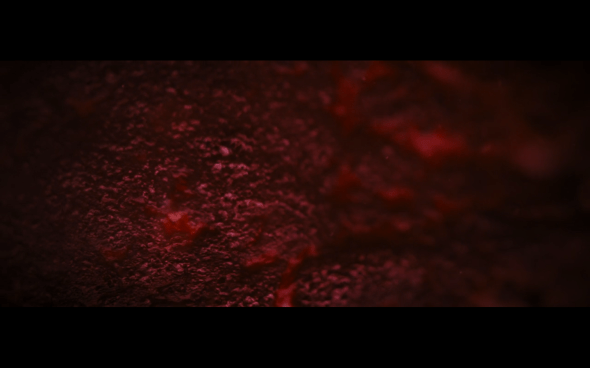 The Twilight Saga Breaking Dawn Part 1 - 1138