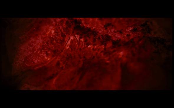 The Twilight Saga Breaking Dawn Part 1 - 1141