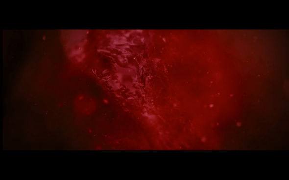 The Twilight Saga Breaking Dawn Part 1 - 1142