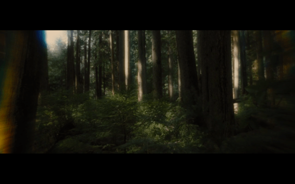 The Twilight Saga Breaking Dawn Part 1 - 1168