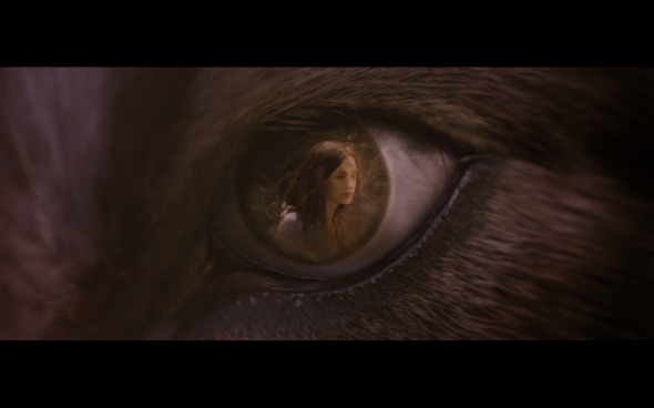 The Twilight Saga Breaking Dawn Part 1 - 1177