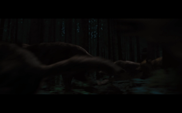 The Twilight Saga Breaking Dawn Part 1 - 1182