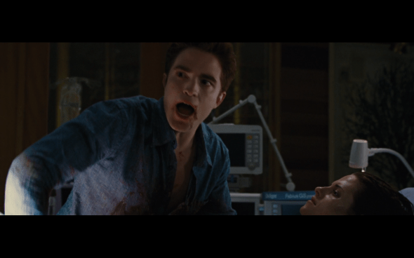 The Twilight Saga Breaking Dawn Part 1 - 1184