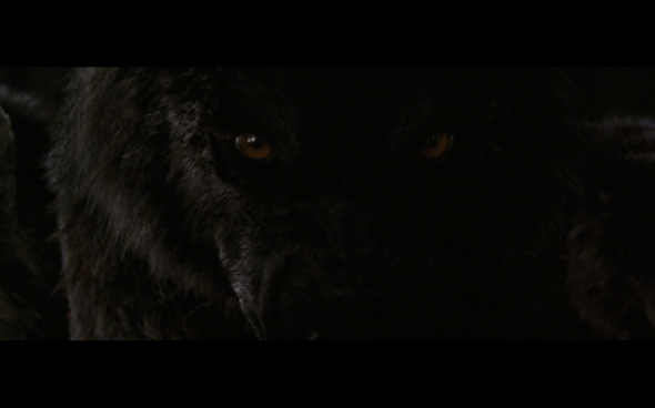 The Twilight Saga Breaking Dawn Part 1 - 1191