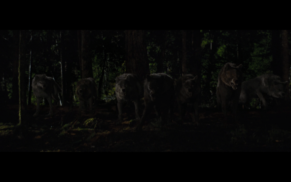The Twilight Saga Breaking Dawn Part 1 - 1192