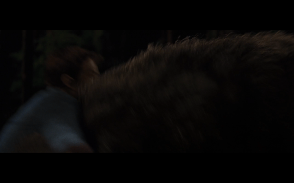 The Twilight Saga Breaking Dawn Part 1 - 1194