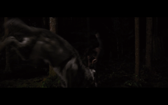 The Twilight Saga Breaking Dawn Part 1 - 1195