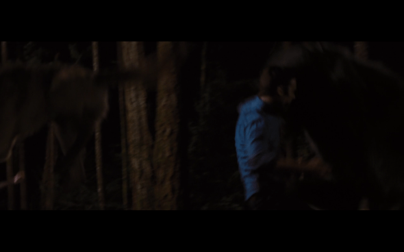 The Twilight Saga Breaking Dawn Part 1 - 1200